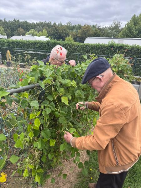 Werken in de moestuin op de dagbesteding in Limburg