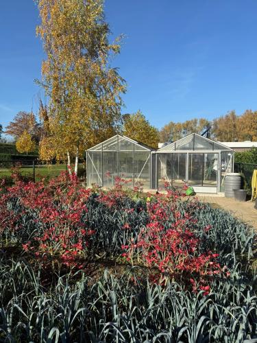 De moestuin van Zorgboerderij Oda Hoeve
