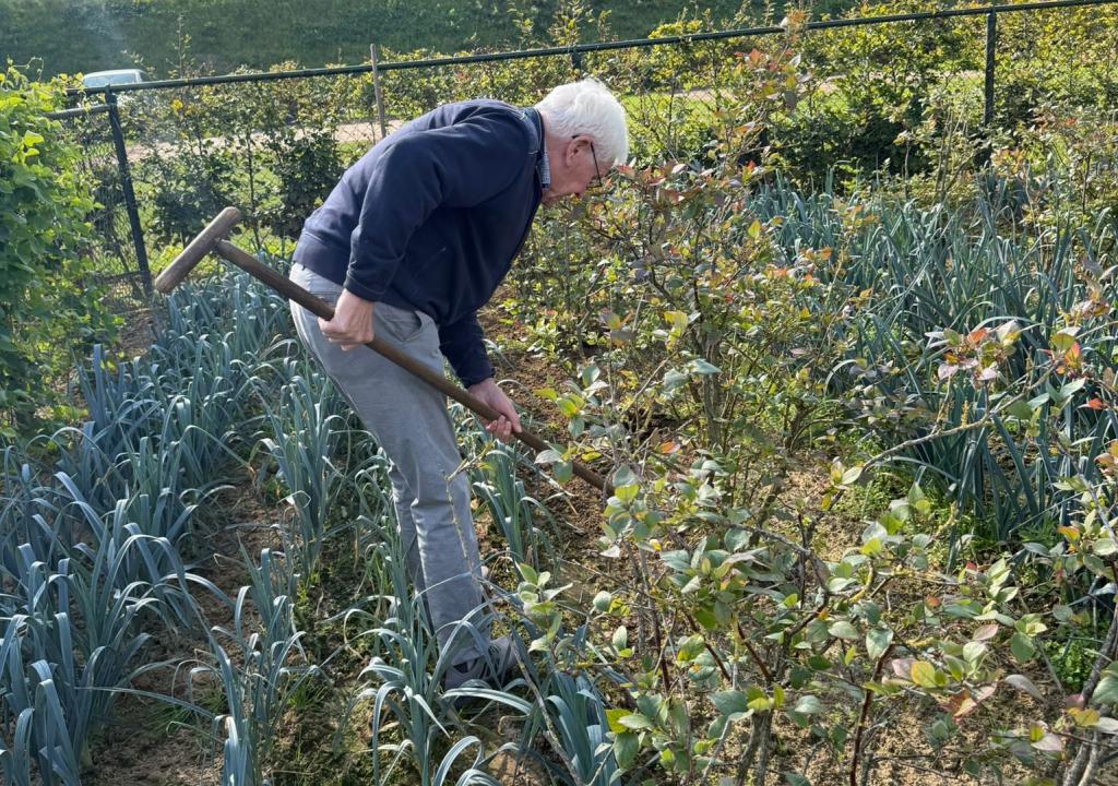 werken in de moestuin